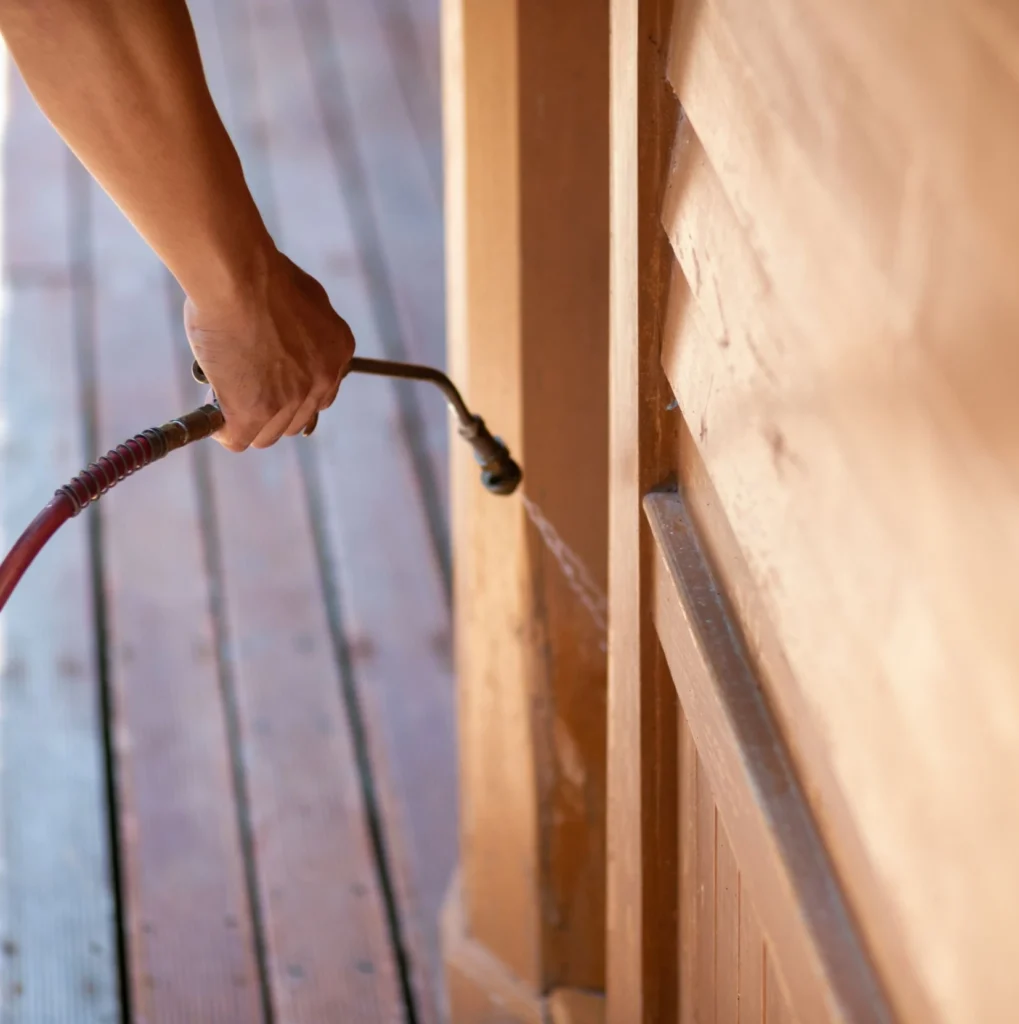 Trusted Pest Control - Freeport Pest Control Pros | Freeport, NY | 516-518-6358